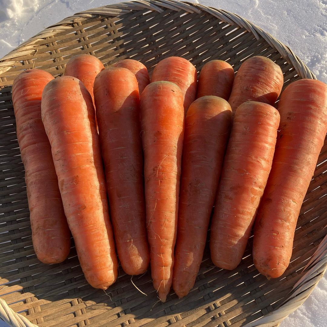 ハレトケにんじん