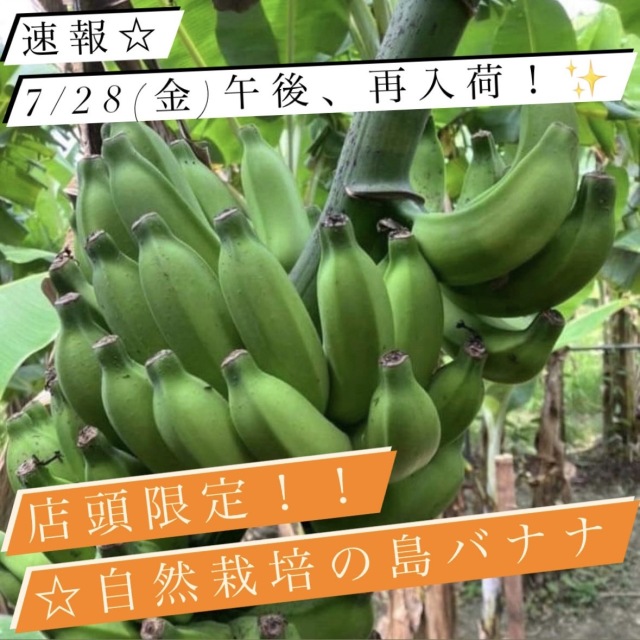 島バナナ　店頭販売