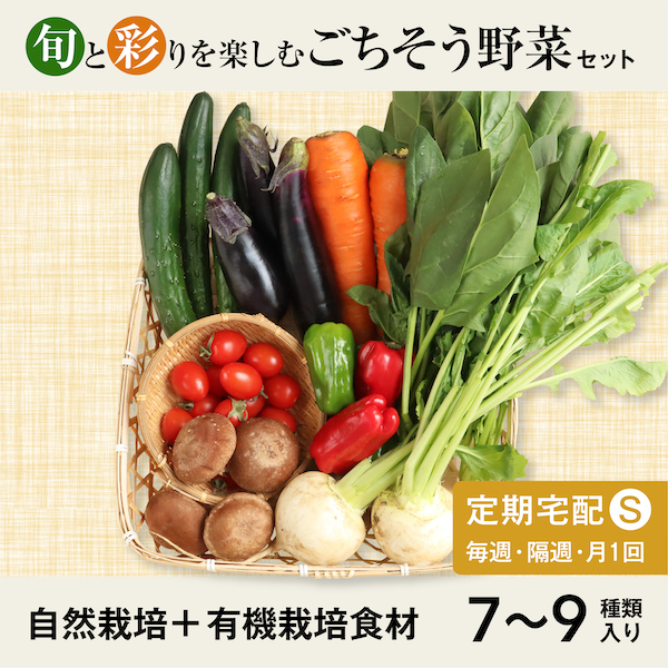 Sサイズごちそう野菜セット