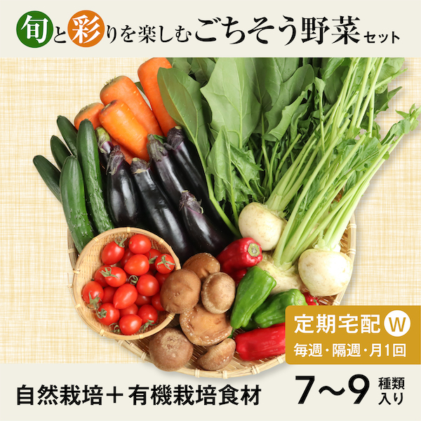 【Wサイズ】定期宅配 旬と彩りを楽しむごちそう野菜セット ７～９種類 自然栽培＆有機栽培 定期便 宅配 毎月 毎週 隔週