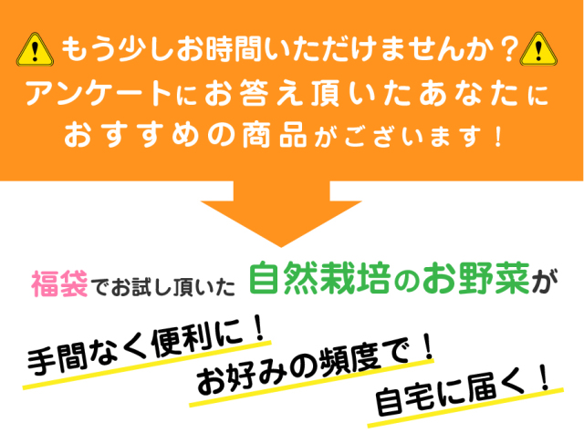 福袋アンケート→野菜セットのススメ