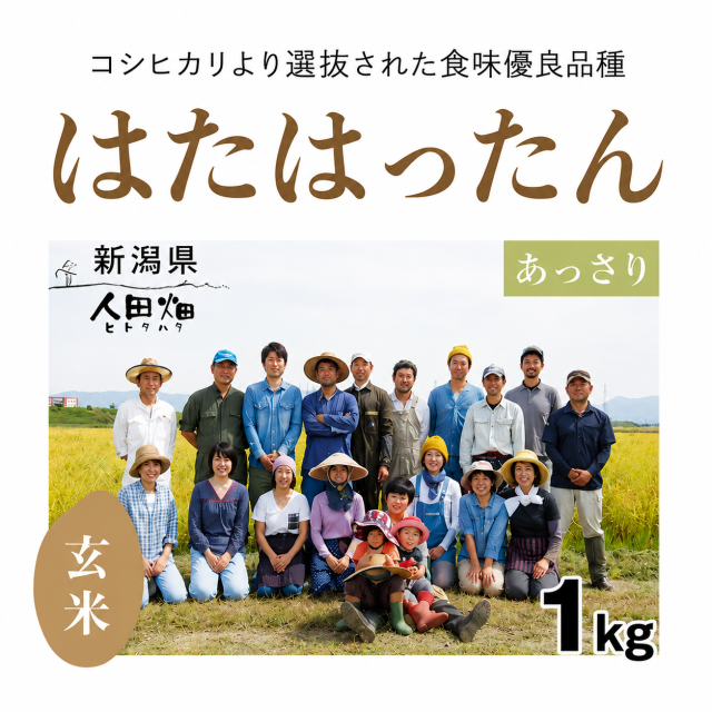 はたはったん玄米1kg