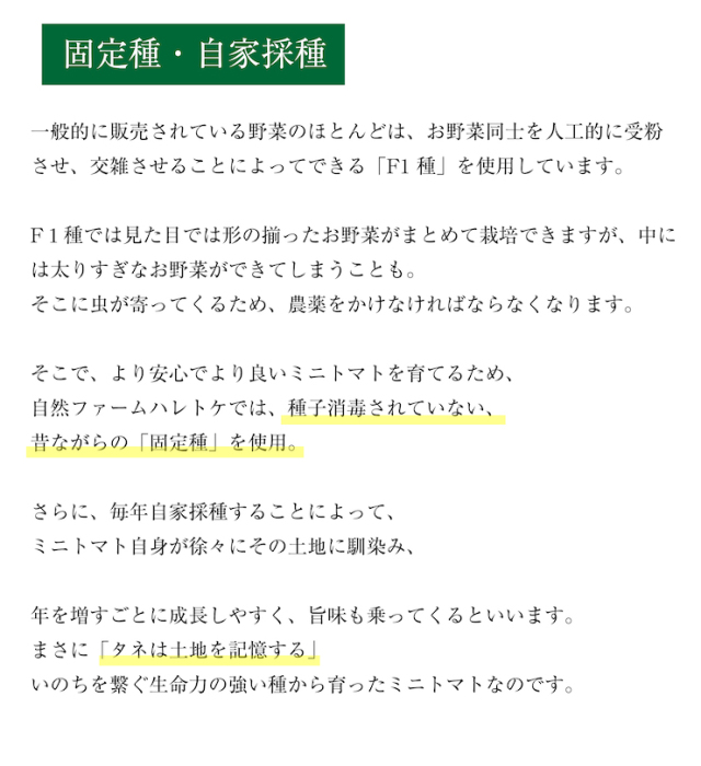 ミニトマト12