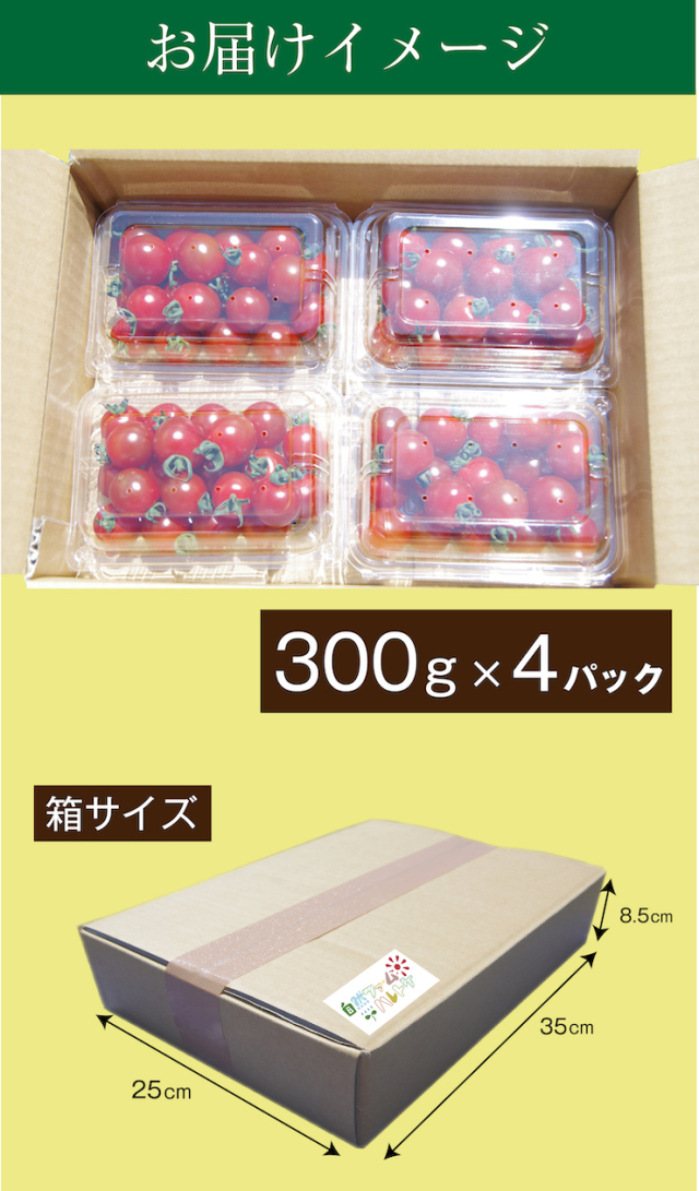 お届けイメージ