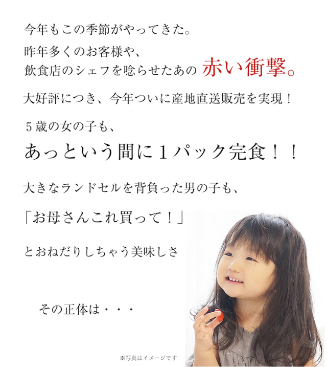 ミニトマト２