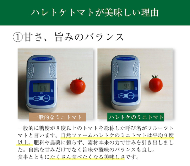 ミニトマト６