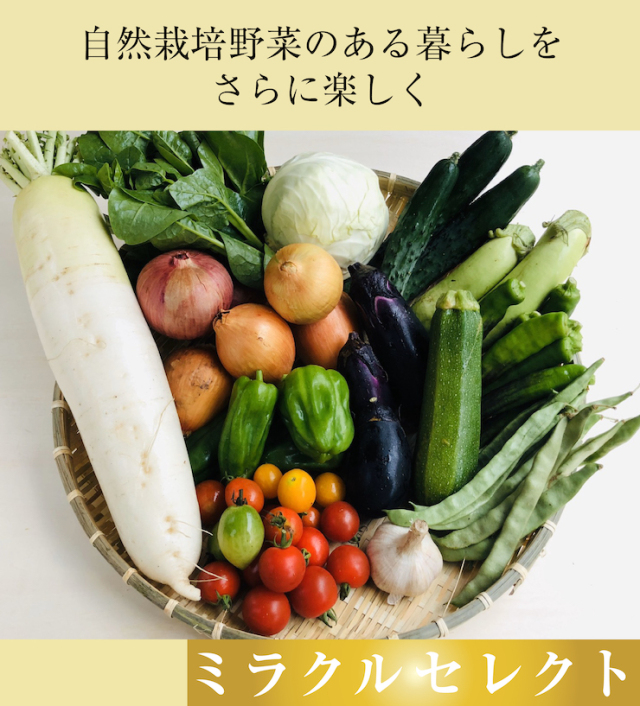 ミラクルトップ画像