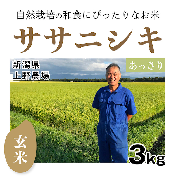 ササニシキ　商品画像