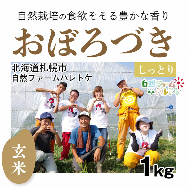 おぼろづき玄米1kg