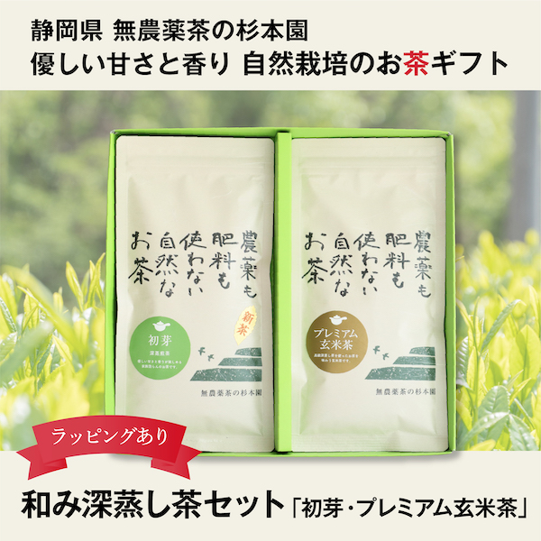 和み深蒸し茶セット