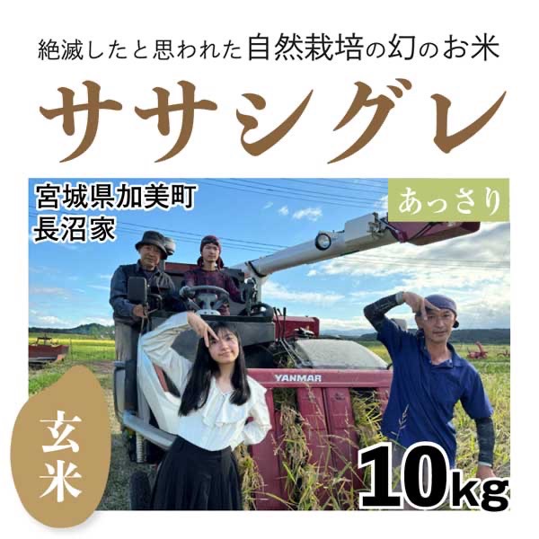 シグレ玄米10kg