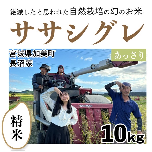 シグレ精米10kg