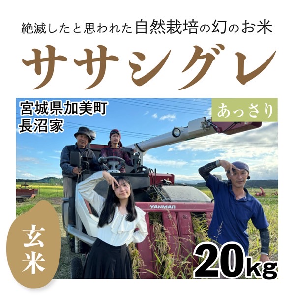 シグレ玄米20㎏