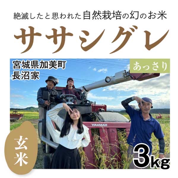 シグレ玄米3㎏