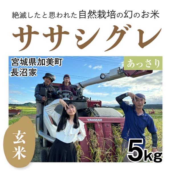 玄米5kg 自然栽培のササシグレ 宮城県 親子3世代 長沼家のササシグレ