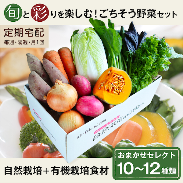 ごちそう野菜セット商品画像