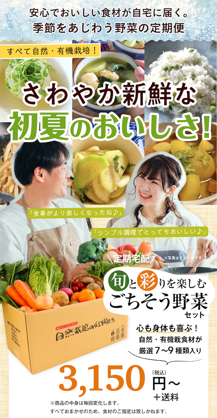 定期宅配 旬と彩りを楽しむごちそう野菜セット【自然栽培の仲間たち