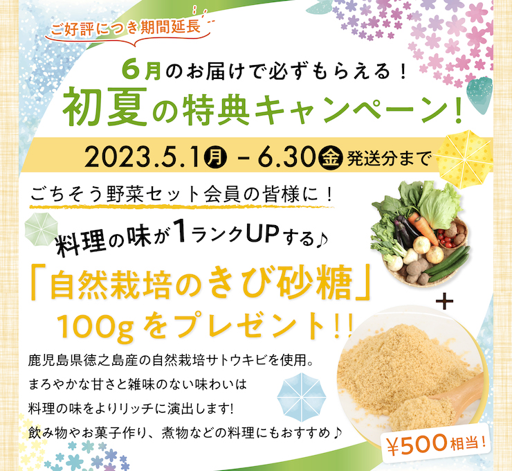 初夏の特典キャンペーン説明　2023年6月
