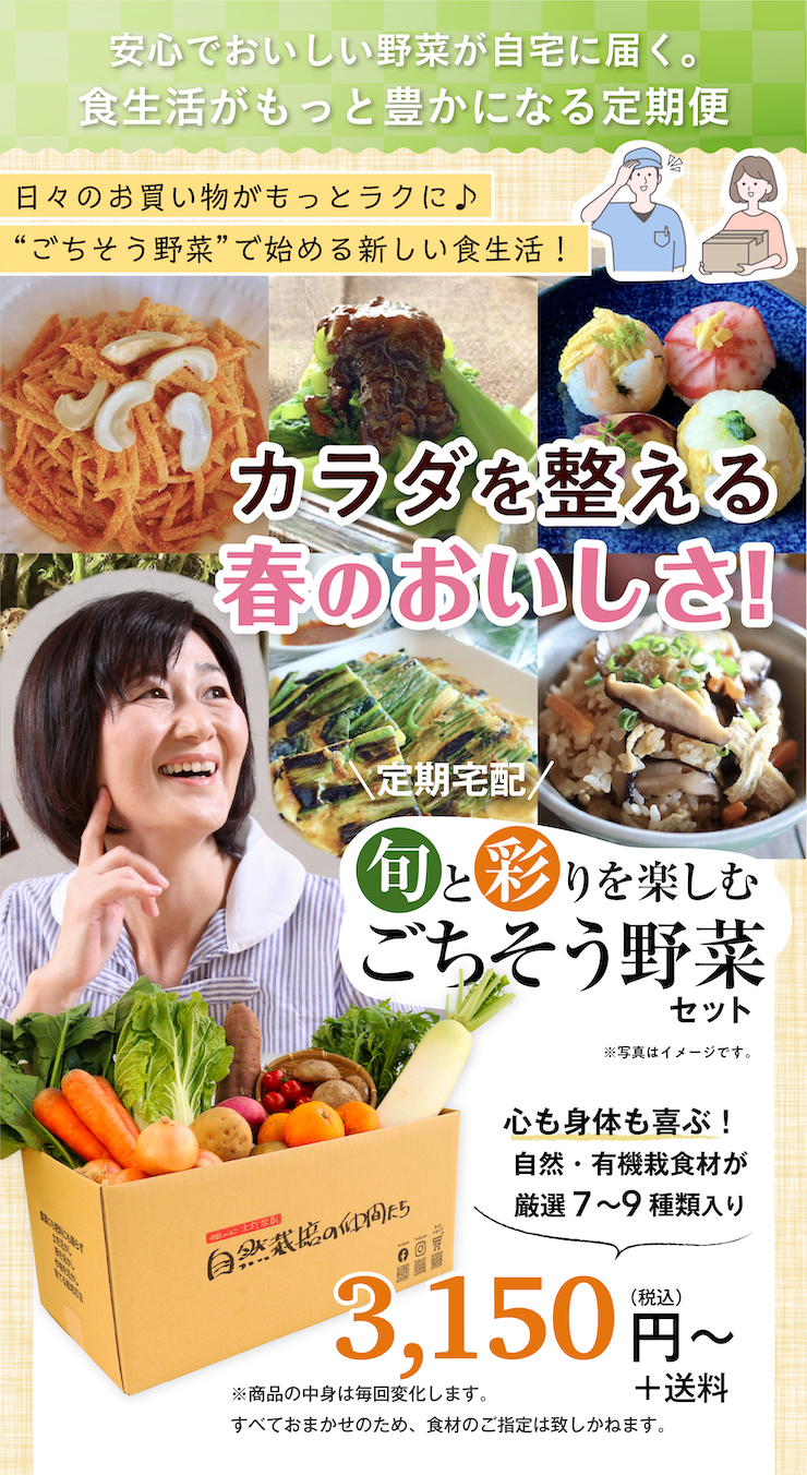 ごちそう野菜セット　2023年5月