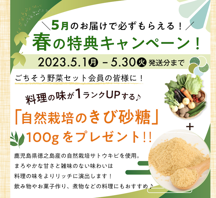 春の特典キャンペーン説明　2023年5月