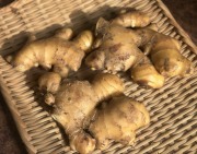 生姜500g