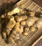 生姜　1kg