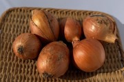 玉ねぎ