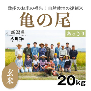 亀の尾　人田畑さん