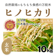 火水風土＜大分県中津市＞ヒノヒカリ