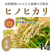 ヒノヒカリ玄米1kg