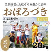 おぼろづき　商品画像