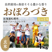 おぼろづき玄米1kg