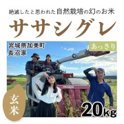 シグレ玄米20㎏