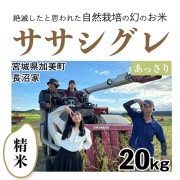 シグレ精米20kg