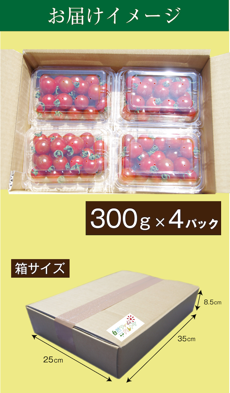 お届けイメージ