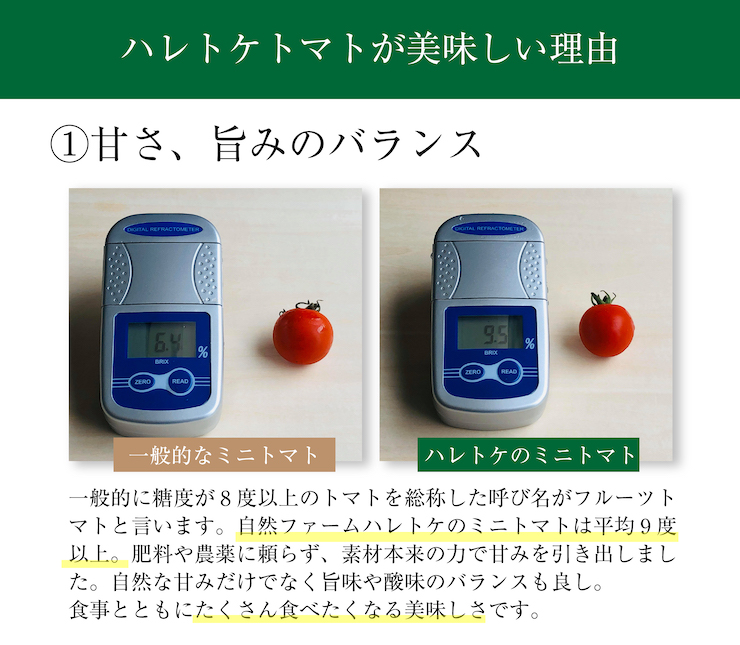 ミニトマト６