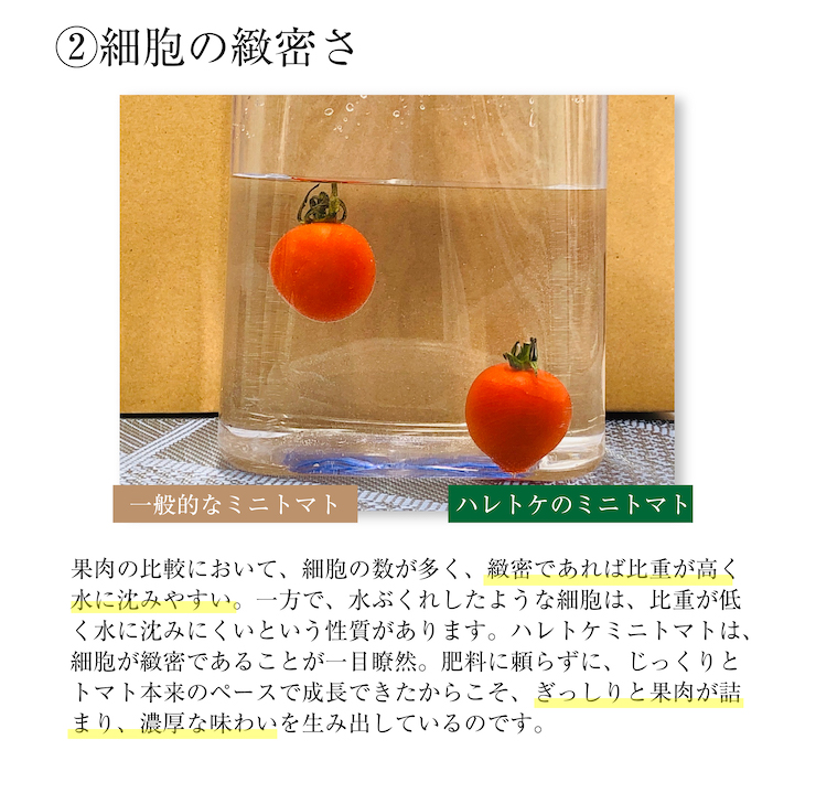 ミニトマト７