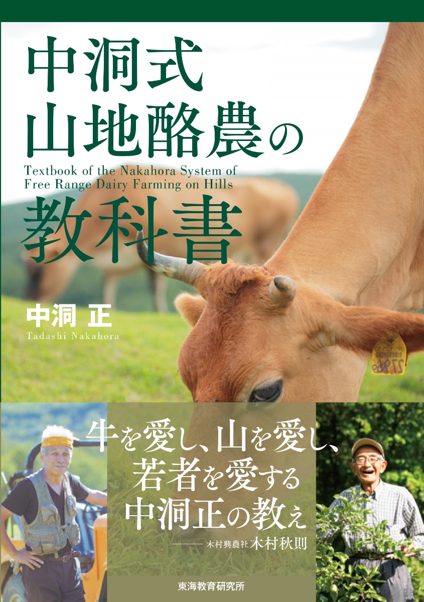 中洞式