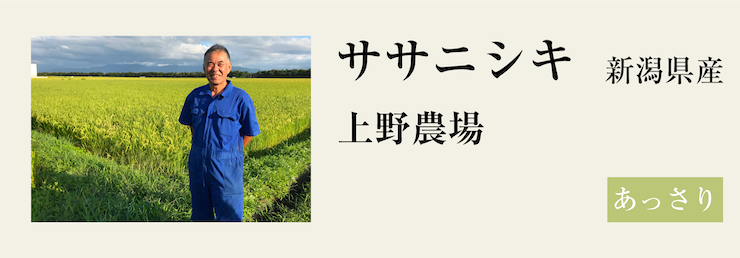 ササニシキ