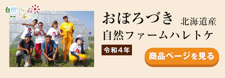 令和4年 おぼろづき