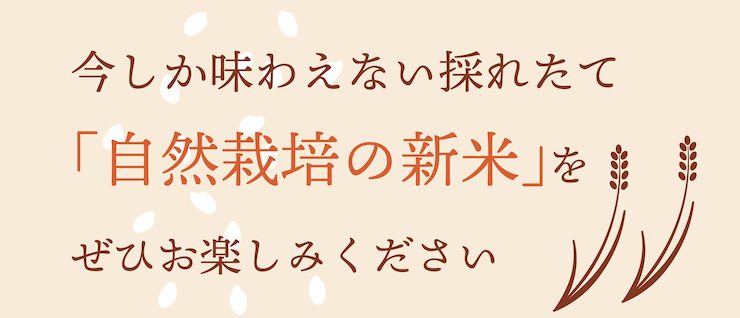 新米2023リード