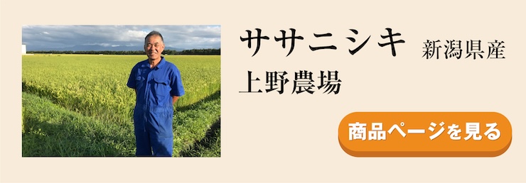 ササニシキ