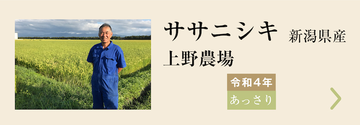 上野農場 ササニシキ