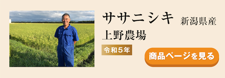 ササニシキ