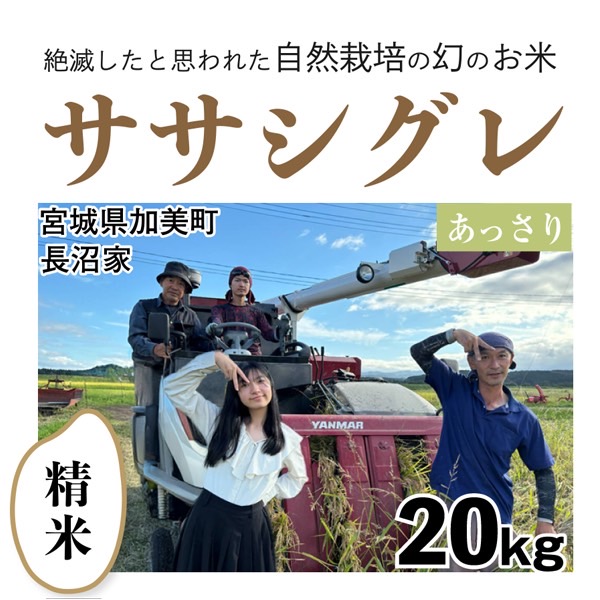 シグレ精米20kg