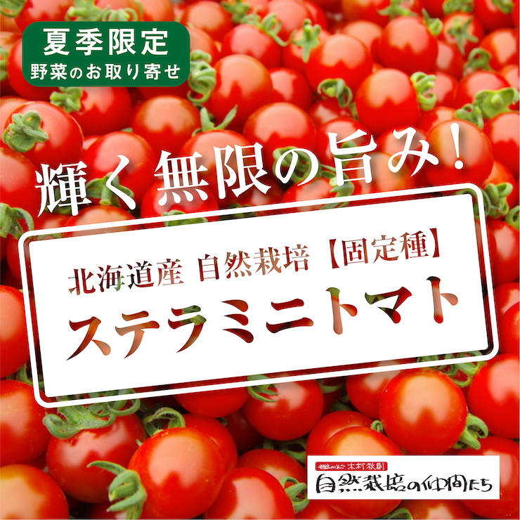 ミニトマト産直2022_トップ画像