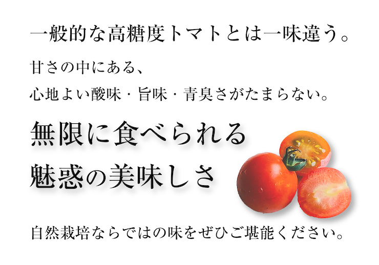 ミニトマト産直2022_トップ下商品説明