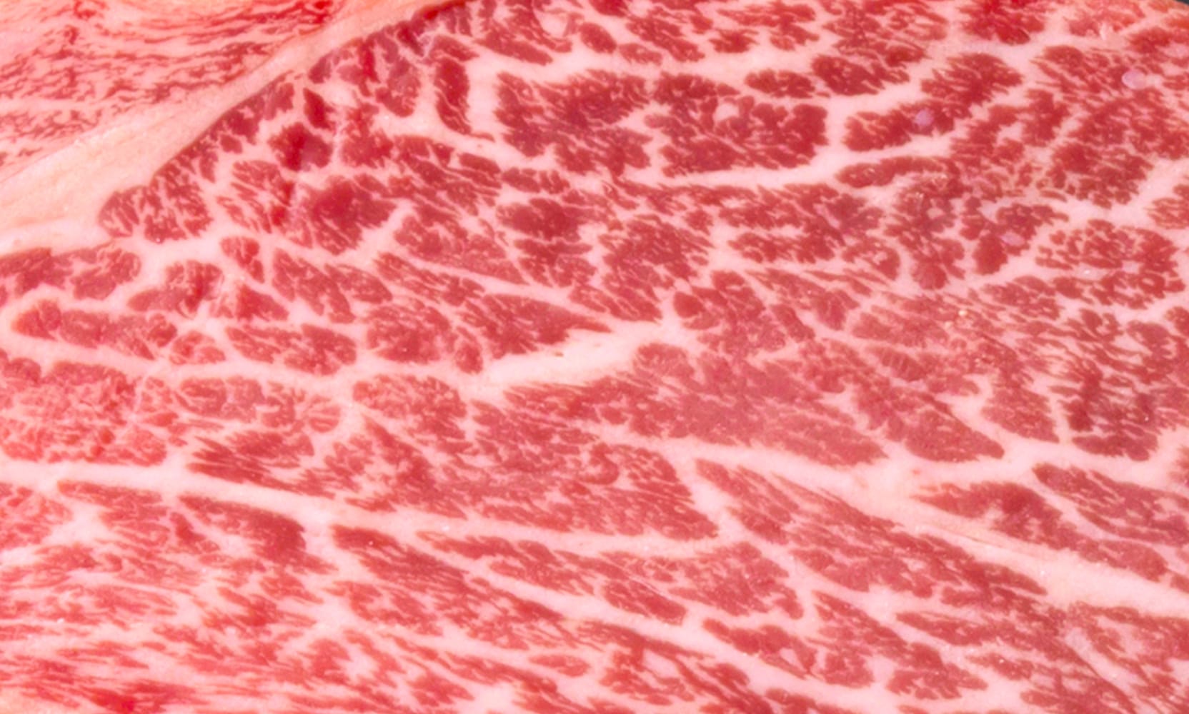 赤城和牛ヒレステーキ 赤城牛公式通販 黒毛和牛フィレ肉