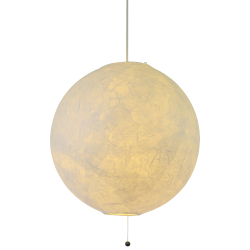 PAN-450balloon