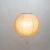 SPN2-1100小梅茶in小梅白